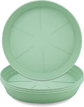 LWALRS Plant Saucer 8 Inch 4 Pack 6 8 10 12 14 16 18 20 25, Plastic Plant Trays for Pots，Extra-Deep Plant Water Dray Tray, Bird Bath Bowl, Heavy Flower Plant Saucers Indoors and Outdoor No Holes
