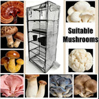 Mushroom Grow Tent, Martha Tent for Mushroom Growing kit, Mini Greenhouse Indoor, sturdy racks can accommodate a variety of mushrooms, including trays, fruiting blocks & grow kits (Mushroom Grow Tent)