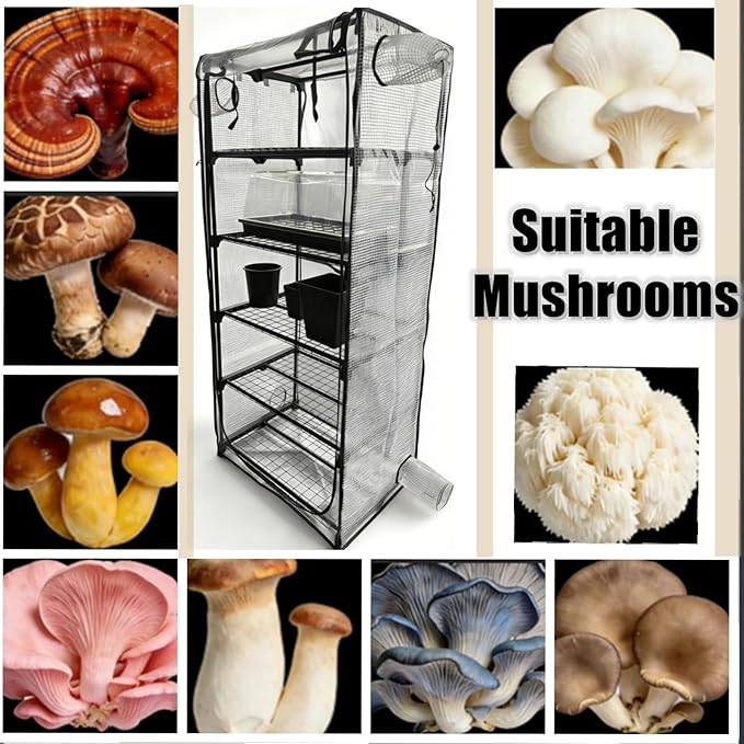 Mushroom Grow Tent, Martha Tent for Mushroom Growing kit, Mini Greenhouse Indoor, sturdy racks can accommodate a variety of mushrooms, including trays, fruiting blocks & grow kits (Mushroom Grow Tent)