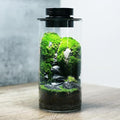 AREPK Desktop Glass Plant Terrarium with Grow Light (H:7.8" D:4"), for Succulent, Moss, Miniature Gardening Landscape, Betta Fish Tank, Office Home Decoration, Plant Lovers Gifts