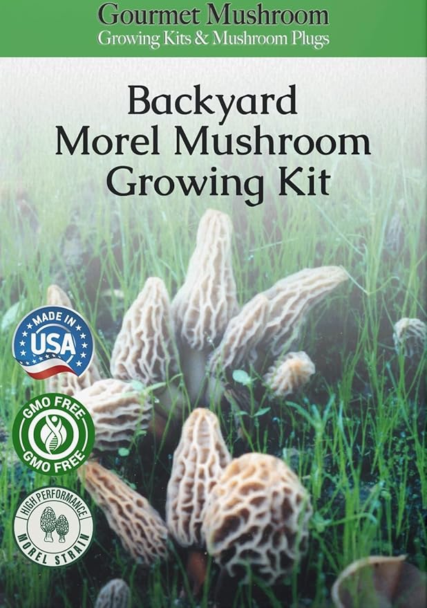 Garden Morel Mushroom Grow Kit - MOREL HABITAT KIT ® - Grow Morchella Mushrooms
