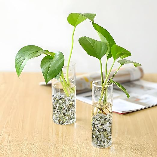 Pulovin 2.5LB Succulent and Cactus Pebbles, 1/5 Inch Jade Pebbles for Indoor Plants, Decorative Gravel for Vases, Bamboo, Succulent, Terrarium, Crafts, Cactus