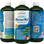 GARDENWISE Organic Marina Mist Foliar Spray for All Live Indoor and Outdoor Bonsai Tree Plants | Micro Nutrients for Vital Bonsai Health | Gentle Formula | Liquid Plant Food | Quick Results (8 oz)