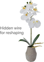 Mikasa Artificial Orchid in Pot, Real Touch Phalaenopsis Orchid, Embossed Weave Cement Pot, 16-Inch Single Branch, White/Yellow