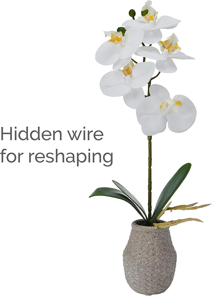 Mikasa Artificial Orchid in Pot, Real Touch Phalaenopsis Orchid, Embossed Weave Cement Pot, 16-Inch Single Branch, White/Yellow