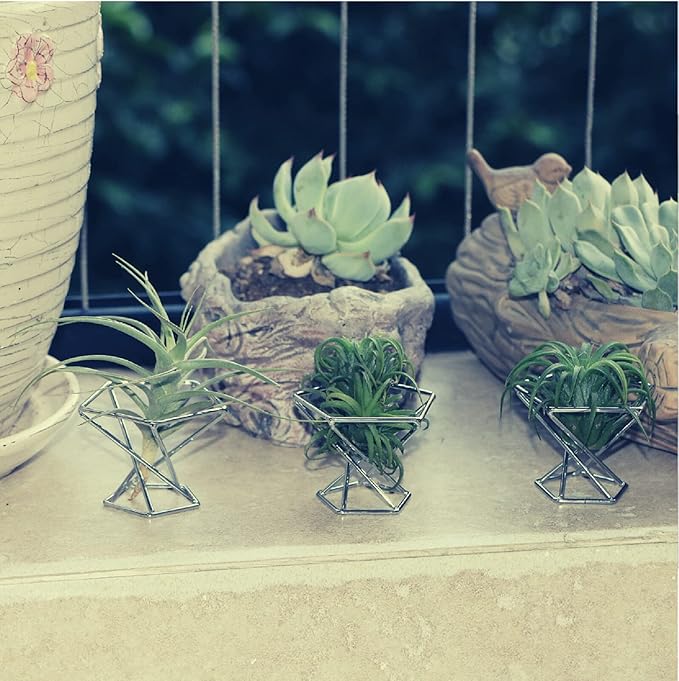 Geometric Air Plant Holder Airplants Rack Metal Plants Stand Planter Shelves Himmeli Living Decor Tillandsia Pot Containers (Silver 3pcs)