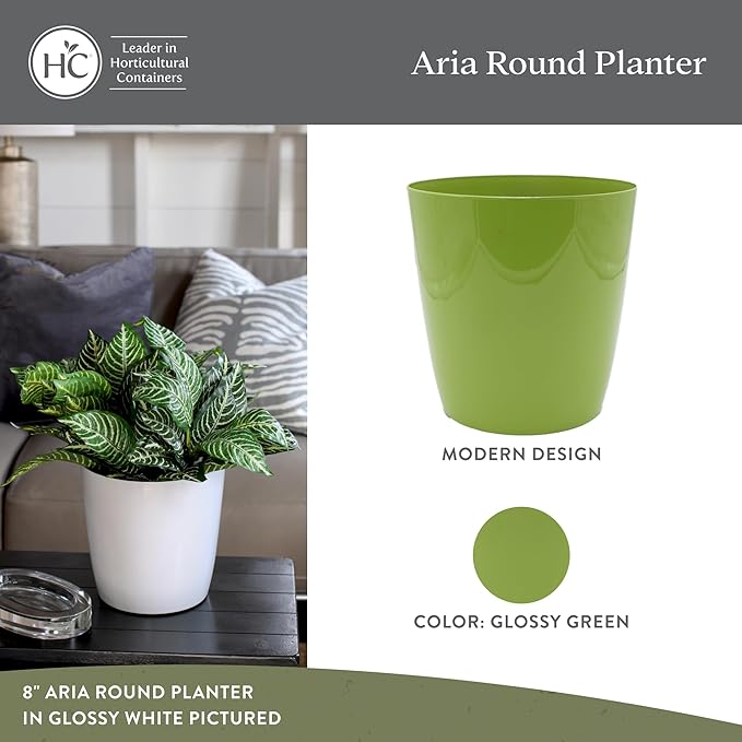 The HC Companies Aria Round Self-Watering Pot - Lightweight Plastic Planter for Herbs & More - Durable Plant Pots for Indoor Plants & Outdoor Plants (6" Glossy Avocado, Pack of 2)