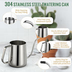 Small Watering Can for Indoor Plants - 20 oz Mini Indoor Watering Can with Long Spout Gooseneck Rust-Proof Stainless Steel Tiny Watering Kettle for Small Plants