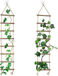 2 PCS Wooden Ladder Plant Trellis for Indoor & Outdoor Climbing Plants, Natural Wood Plant Climbing Support Ladder for Vines, Pothos, Ivy, Monstera (30 x 5.9 Inch)