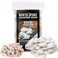 North Spore Organic Snow Oyster (100 ct) Mushroom Plugs for Logs | Premium Quality Mushroom Plug Spawn | Handmade in Maine, USA | Grow Gourmet Mushrooms Outdoors on Logs