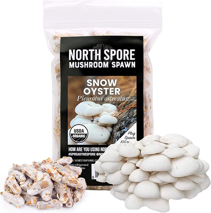 North Spore Organic Snow Oyster (100 ct) Mushroom Plugs for Logs | Premium Quality Mushroom Plug Spawn | Handmade in Maine, USA | Grow Gourmet Mushrooms Outdoors on Logs