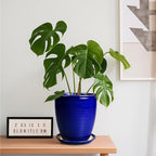 Round Ceramic Planter - Modern 8 Inch Plant Pot with Drainage Hole and Tray for Flower Indoor Outdoor Garden Decor Blue