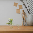20 PCS Air Plants Holders Unique Geometric Metal Plant Stands Airplants Container Live Air Fern Display Racks Small Decor Items for Shelf (Gold)