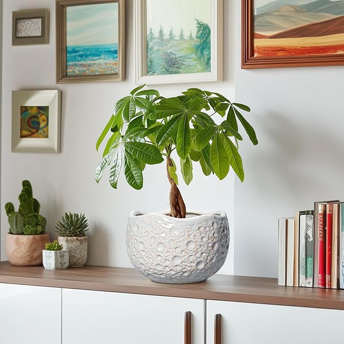 Ceramic Pots for Plants - 8 Inch Planters for Indoor Outdoor Plants, Modern Ceramic Flower Pots with Drainage Hole and Plug, Round Unique Plant Pot, Porch Office Decor, Garden Gifts, Grey