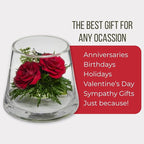 Fiora Flower | Long Lasting Real Roses in a Sealed Vase | Lasts up to 5 Years | Unique Present Gift