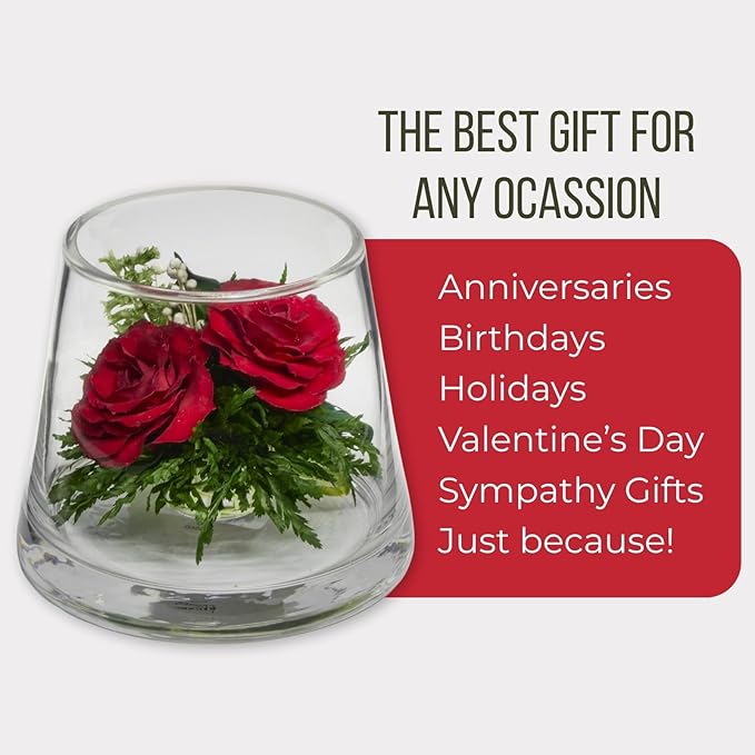 Fiora Flower | Long Lasting Real Roses in a Sealed Vase | Lasts up to 5 Years | Unique Present Gift