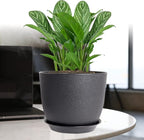UOUZ 12/10/9 Large Modern Plant Pots, Plastic Planters with Drainage Holes and Saucers for Indoor Outdoor Plants Flowers, Black