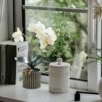 Artificial Orchid 12.6 Inch Tall Realistic Faux Orchid in A Pot Real Touch Decorative Bonsai Fake Flowers for Table Centerpieces Living Room Home Decor White