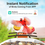 birdsnap® PAV-Bird Feeder with Camera,2K HD with 64GB Card, AI Identify Smart Bird House Cam Solar Panel,Live Stream,Motion Detection,Auto Record Video for Backyard Outdoors,Ideal Gift for Bird Lover