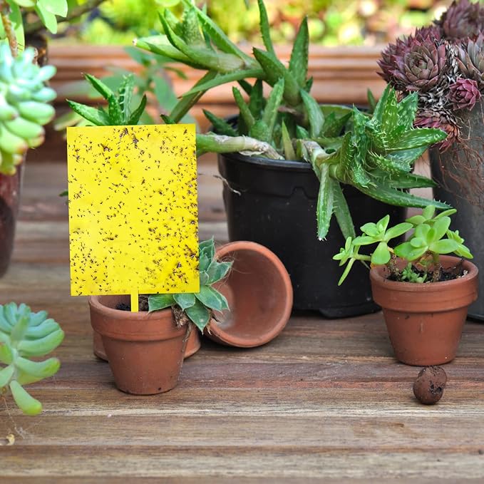 Garutom 20-Pack Dual-Sided Yellow Sticky Traps for Flying Plant Insect Such as Fungus Gnats, Whiteflies, Aphids, Leafminers, etc (6x8 Inches, Included 20pcs Twist Ties)