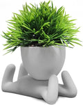 Zerzsy Faux Succulents in Cement Pots Potted Mini Fake Plants for Desk Decoration, Kitchen Shelf Decor, Office Decor for Women, Bathroom Shelf Plant Decor - Set of 1