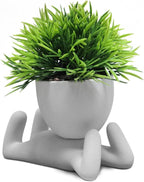 Zerzsy Faux Succulents in Cement Pots Potted Mini Fake Plants for Desk Decoration, Kitchen Shelf Decor, Office Decor for Women, Bathroom Shelf Plant Decor - Set of 1