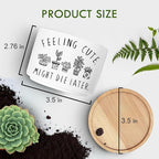 Funny Succulent Plant Pot, Small Flower Planter for Indoor Plants, Cute Ceramic Cactus Planter Pots with Drainage, Windowsill Desk Decor Unique Planter Gift, Feeling Cute (No Plants)