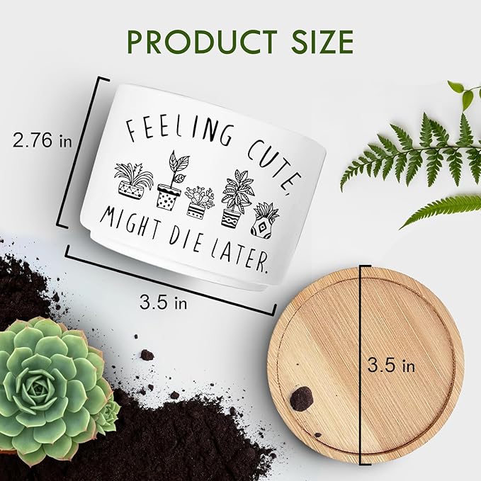 Funny Succulent Plant Pot, Small Flower Planter for Indoor Plants, Cute Ceramic Cactus Planter Pots with Drainage, Windowsill Desk Decor Unique Planter Gift, Feeling Cute (No Plants)