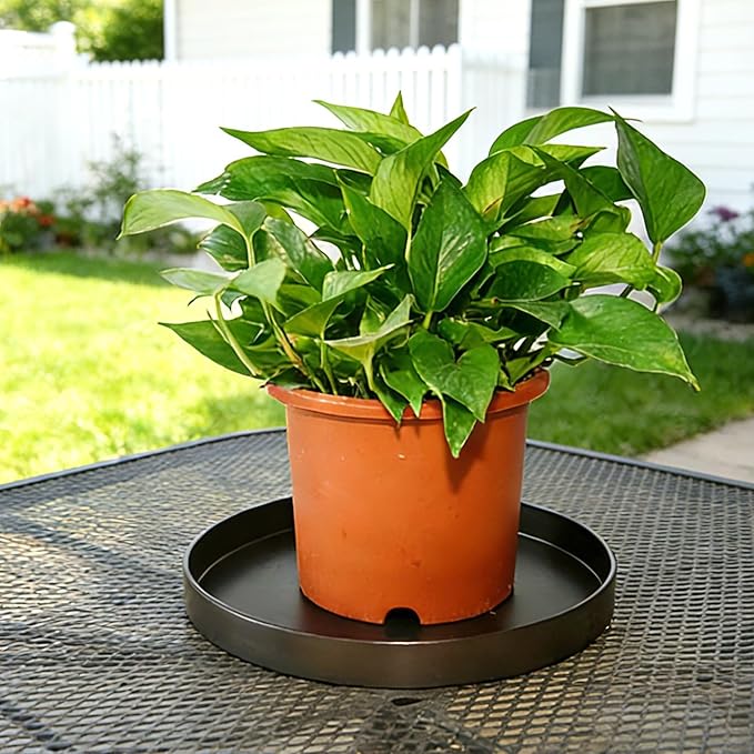 1 Pack 10 inch Plant Saucer Drip Tray, Heavy Sturdy Plastic Planter Flower Pot Drainage Tray Plate Saucers for Indoor Outdoor Garden, Plant Water Drip Trays for pots Base (10", Chocolate)
