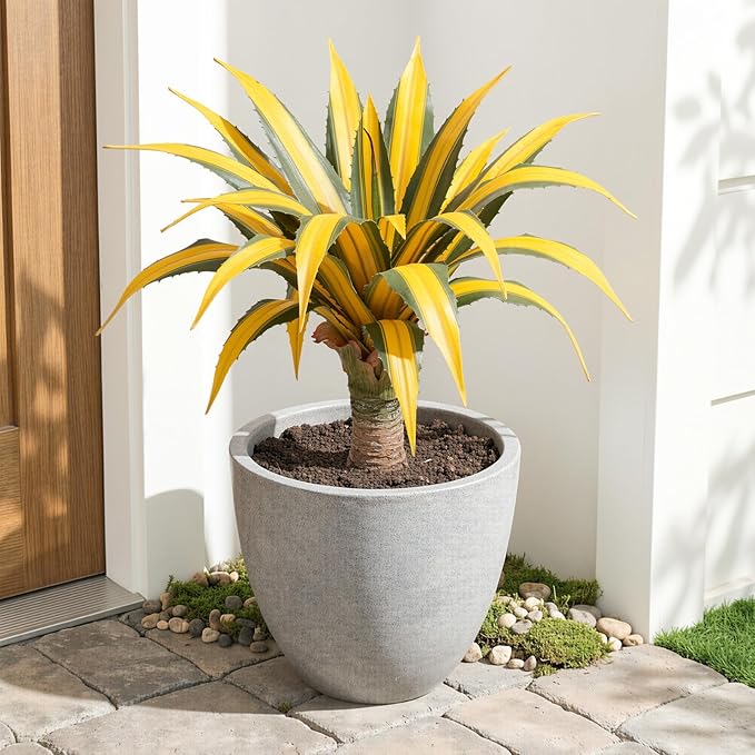 Artificial Green Edged Gold Leaf Spiny Agave Plant with 23 Leaves, 19.68in Faux Agave for Indoor & Outdoor Home Decor Perfect for Porch Living Room Bedroom Patio & Office