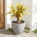 Artificial Green Edged Gold Leaf Spiny Agave Plant with 23 Leaves, 19.68in Faux Agave for Indoor & Outdoor Home Decor Perfect for Porch Living Room Bedroom Patio & Office