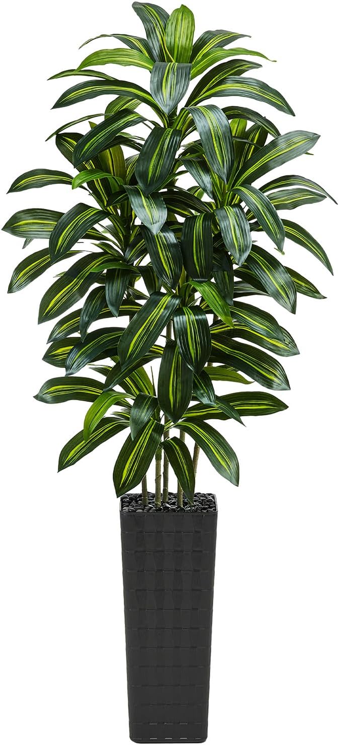 Artificial Dracaena Tree：7FT Faux Silk Tropical Yucca Floor Trees Realistic Fake Green Plant with Natural Wood Trunk & Lifelike Leaves for Home Office Decor Indoor & Outdoor (7FT,1-Pack,Black)