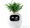 Intelligent Flower Pot, Electronic Bud, Maintenance Plant Assistant, Fun Interactive Flower Pot, Indoor Green Planting Monitoring, LCD Screen Display, Cell Phone APP Connection (White)