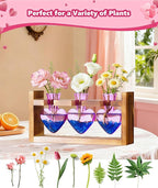 Nacome Plant Terrarium Propagation Stations: Mothers Day Gifts for Mom Plant Lovers Women Wife Daughter - 3 Bulb Glass Vase with Wooden Stand Tabletop for Hydroponics Home Garden Decor(Purple)