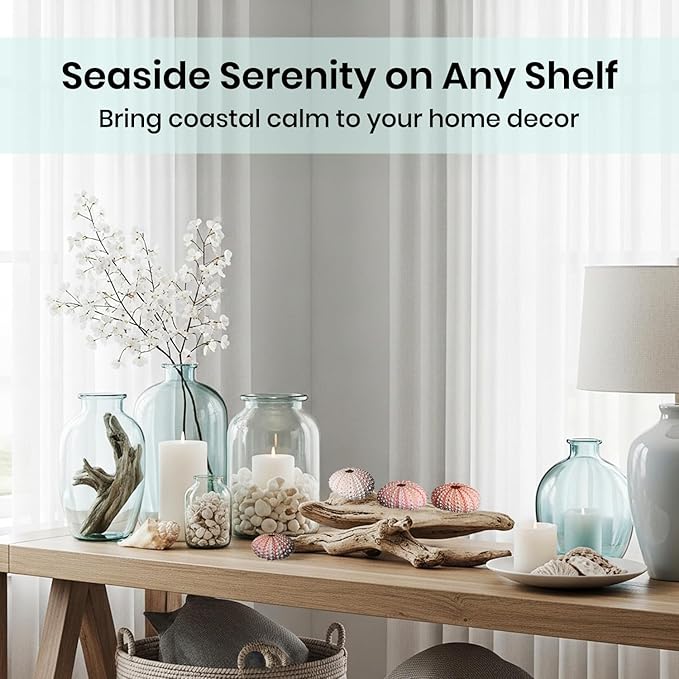 Nautical Crush Trading Sea Urchins Shells for Air Plants - 25 Pink (1-2") Sea Urchin Shells - Hanging Air Plant Holder - Air Plants Live Holders - No Plants Included