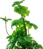 MyGift Set of 3 Fake Plants, Small Artificial Potted Plants Indoor in Clear Glass Pot, 9.5 Inch Faux Plant for Home Decor