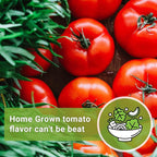 Sow Right Seeds - Beefsteak Tomato Seeds for Planting - Non-GMO Heirloom Packet with Instructions to Plant a Home Vegetable Garden - Indeterminate, Super Large and Bright Red Fruits (4)