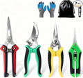 5-Piece Garden Pruning Shears Set with Gloves & Storage Bag, Stainless Steel Gardening Scissors Kit, Sharp Non-Slip Clippers for Trimming Flowers, Herbs, Small Branches
