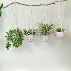 LEWESU Macrame Plant Hanger Indoor Set of 4 with 8 Hooks, Indoor Outdoor Hanging Planter for Plants Holder with Decorative Wood Beads & No Tassels, Boho Home Decor, 35 Inch Ivory (Pots Not Included)