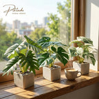 3pcs Small Fake Plants Artificial Begonia Leaves Faux Plants Indoor for Office Desk Shelf Bathroom Home Decor (3Pcs White Green)