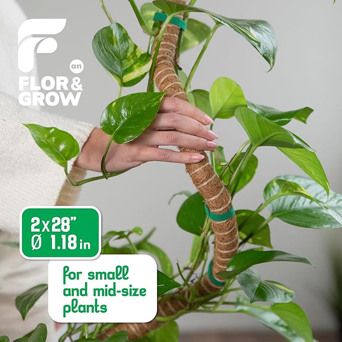 2 Pack 28" Sturdy Easy to Use Moss Pole Monstera Plant Support Stakes - Plant Stakes for Indoor Plants, Moss Poles for Climbing Plants, Tutores para Plantas Trepadoras Monstera Support Sticks