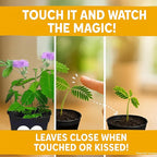 Mother’s Day Gift for Mom – TickleMe Plant – Moves When Touched – Grows Pink Flowers – “I’m Tickled You’re My Mom” – Unique Gift from Kids – Easy Indoor Kit