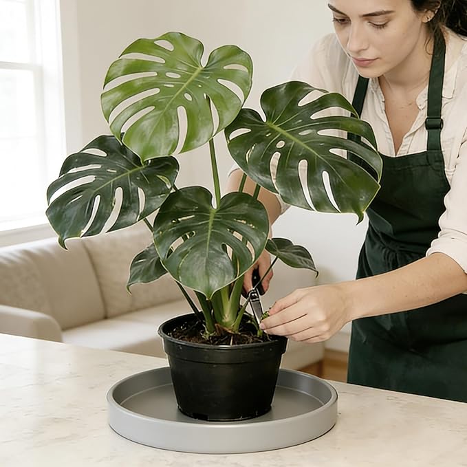 1 Pack 12 inch Plant Saucer Drip Tray, Heavy Sturdy Plastic Planter Flower Pot Drainage Tray Plate Saucers for Indoor Outdoor Garden, Plant Water Drip Trays for pots Base (12", Gray)