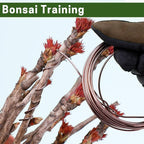 Bonsai Wire Kit, 4 Rolls Total 64Ft Aluminum Bonsai Training Wire Set for Indoor 1.0MM, 1.5MM, 2.0MM