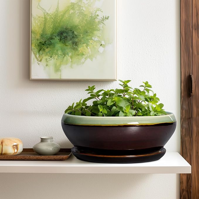 SQOWL Bonsai Pots 12 Inch - Large Ceramic Pots for Succulents with Drainage Hole and Saucer, Shallow Planter for Indoor Plants Outdoor, Round Planter Bowl, Office Decor, Gifts for Women, Green-Brown