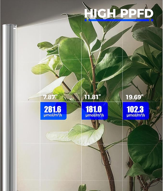 Barrina T1S Standing Grow Light for Indoor Plants with Timer, 65W 5000K High PPFD Tera Series Vertical Full Spectrum Grow Lights Adjustable Height 5FT-5.6FT, Foot Switch, Non-Glare Design, Silver