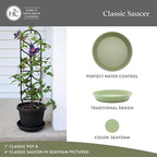 The HC Companies Flower Pot Saucers - Plastic Plant Saucer for Outdoors & Indoors - Traditional Design Plant Pot Trays for Water Drainage - Durable & Stylish Round Plant Tray (6-inch Seafoam)