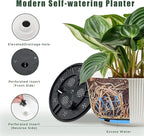 T4U 10 Inch Self Watering Pots for Indoor Plants, 2 Pack Large Plant Pots, Self Watering Planter for Indoor Plants, Durable Plastic Pots (2 Pack,10", White)