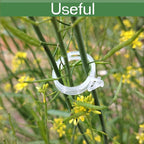 250PK Secured Plastic Plant Clip, Plant Support Clips, Garden Clips for Climbing Plants, Plastic Trellis Clips Plant Support Clips Tomato Grape Vine Vegetables Plant Fixing Clips
