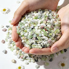 Pebbles for Indoor Plants,3/8 Inch Mixed Color Gravel, Polished Decorative Stones Colorful River Rock for Plants - for Succulent, Cactus, Fish Tank, Vase, Bird Bath, Garden Landscaping 3LB